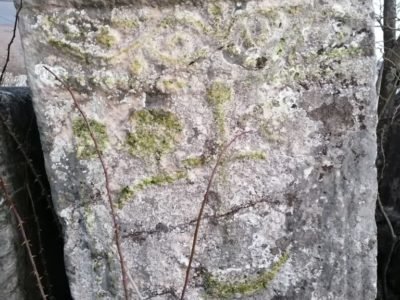 Orah 1 4