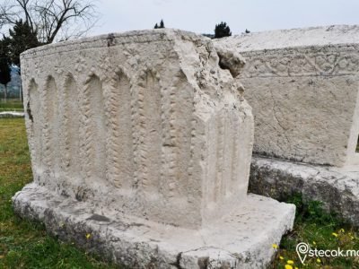Radimlja