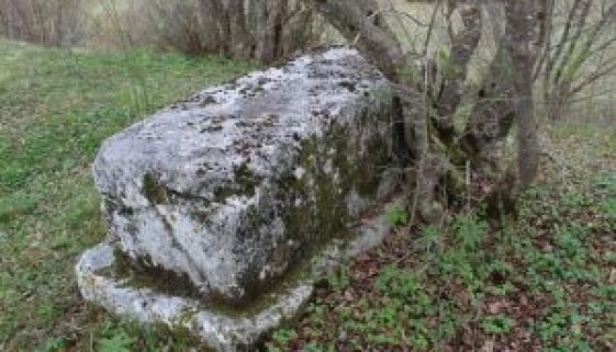 Breščić3