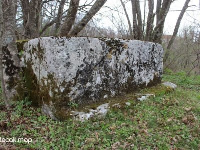 Breščić6