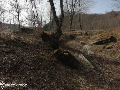 Pavlovac4