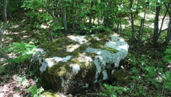 Busija