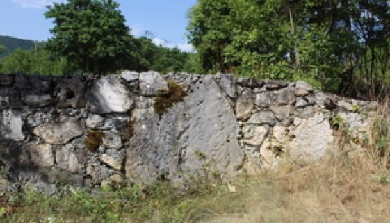 Ljutik