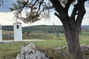 Bjelosavljevići1