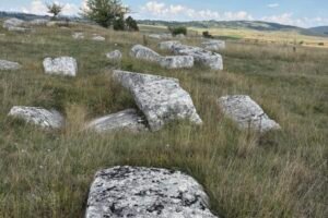 Bjelosavljevići26